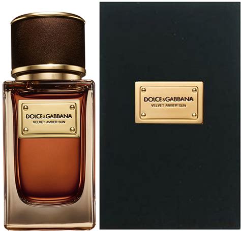 dolce gabbana velvet amber sun 50ml|velvet amber sandalwood.